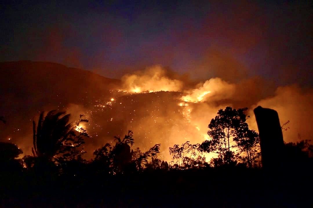 Na amazônia, 17,9 milhões de hectares foram atingidos pelo fogo no ano passado Na amazônia, 17,9 milhões de hectares foram atingidos pelo fogo no ano passado