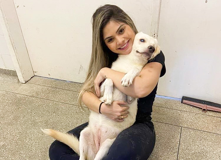 Vereadora visa agilizar denúncias e averiguações dos crimes contra os animais