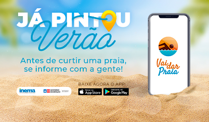 Software lançado em 2018 foi criado e desenvolvido por técnicos do Inema