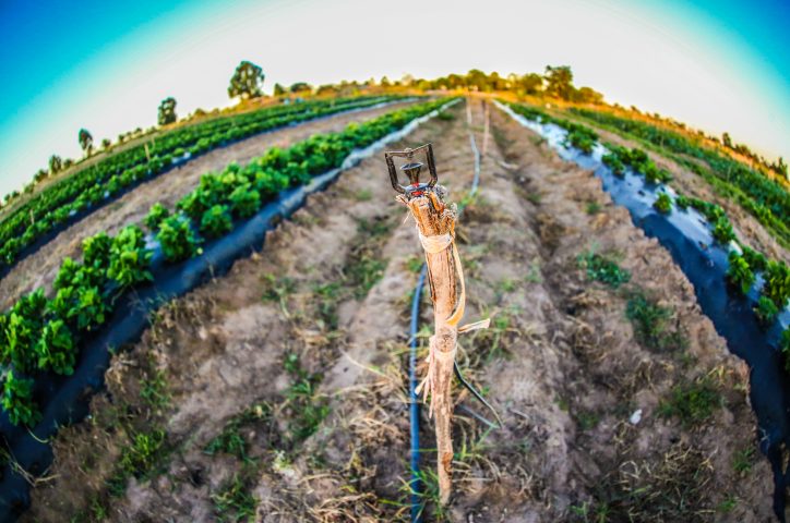 Governo da Bahia determinou instalação de hidrômetros nos poços