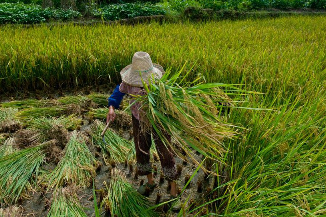 Entre pessoas físicas e empresas, nove condenações são citadas pelo Ministério do Trabalho e Emprego
