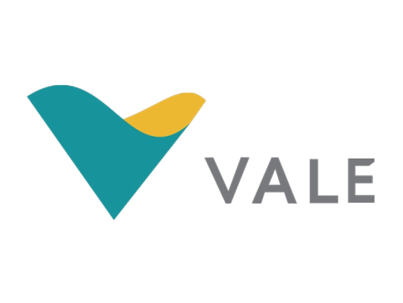Imagem de Ações de Vale passam por leilão após BNDES anunciar venda