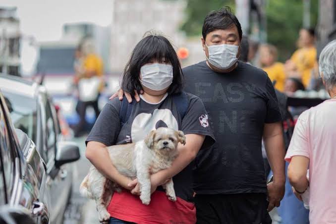 Imagem de Sobe para oito o número de casos de suspeita de coronavírus em SP