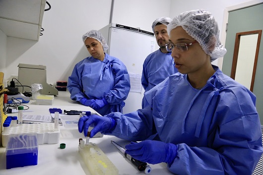 Imagem de Coronavírus no Brasil eleva pressão na rede de saúde, mas calor pode reduzir risco de epidemia