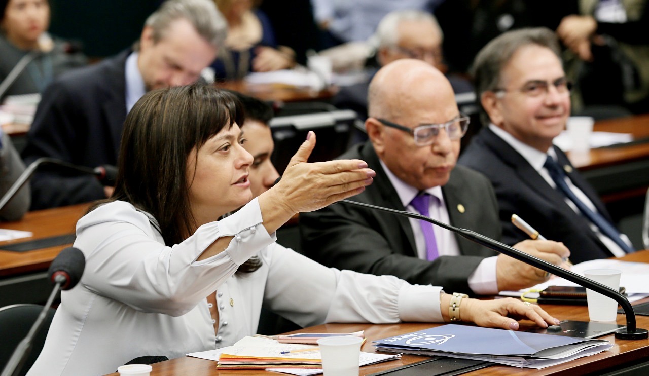 Alice Portugal (PCdoB), deputada federal