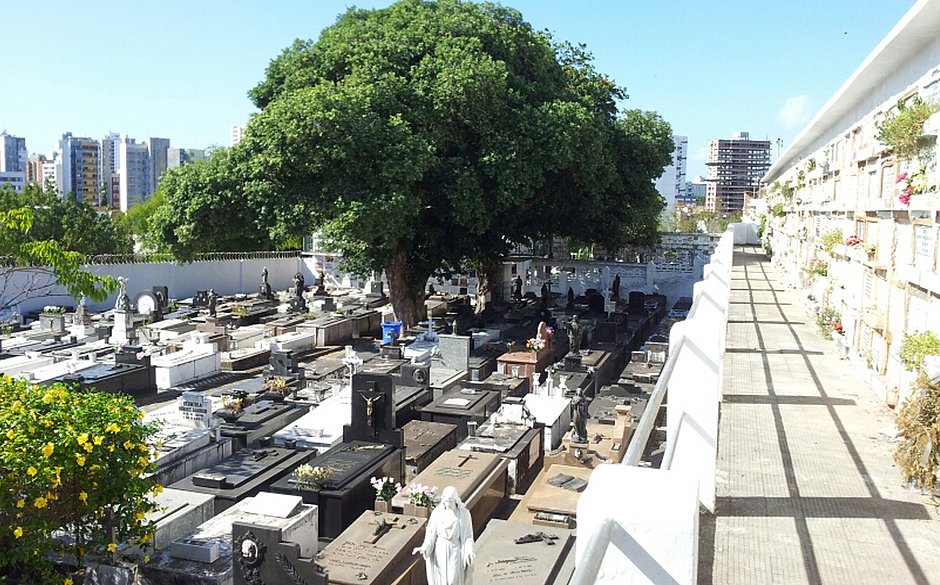 Imagem de Coronavírus modifica regras para velórios em cemitérios municipais