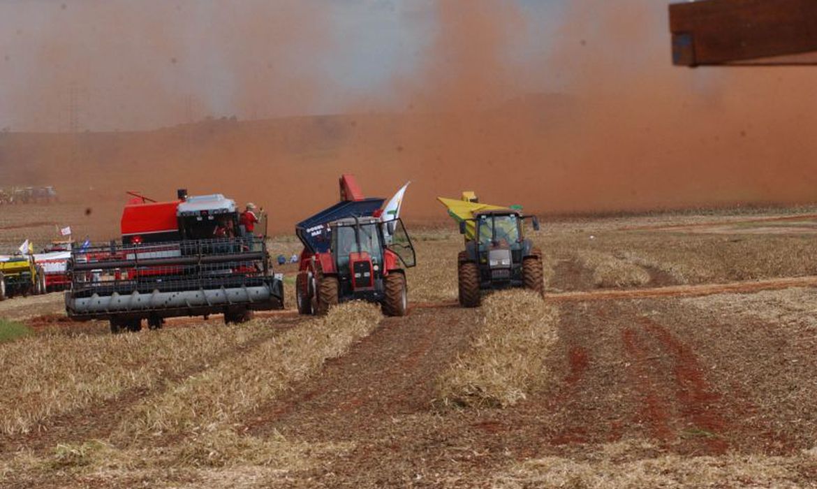 Imagem de IBGE estima alta de 1,5% na safra de grãos deste ano Imagem de IBGE estima alta de 1,5% na safra de grãos deste ano