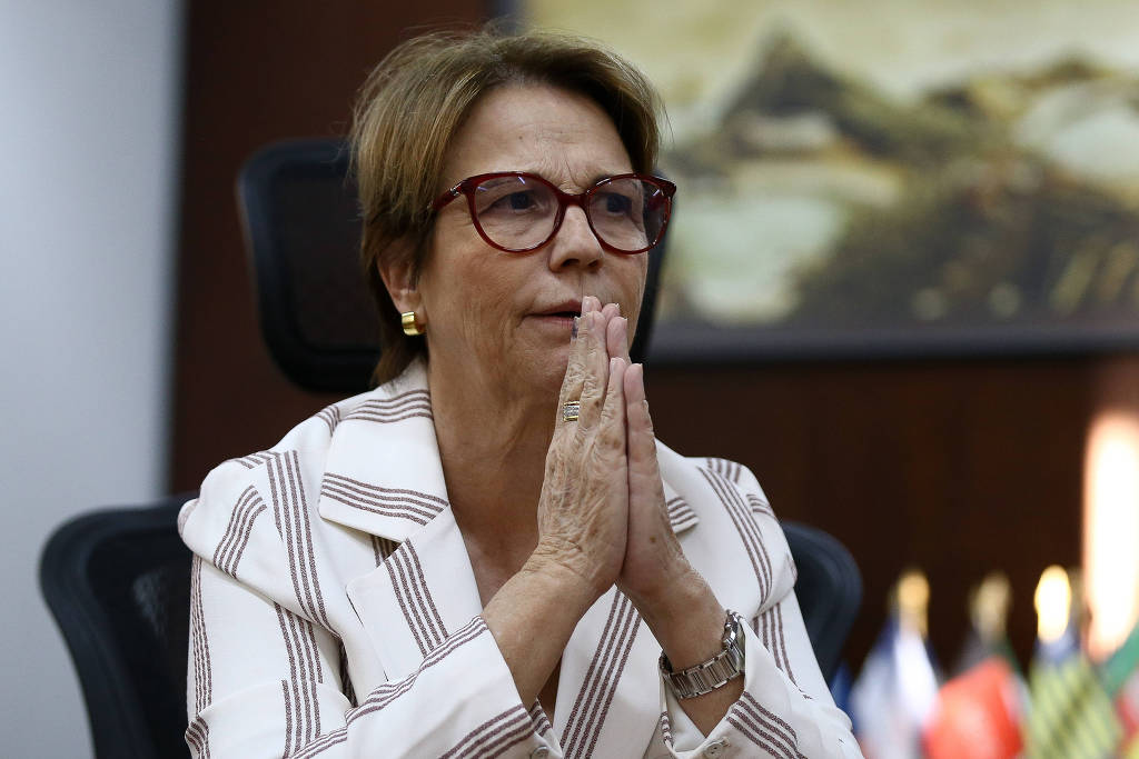 A ministra da Agricultura Tereza Cristina durante entrevista à Folha em seu gabinete A ministra da Agricultura Tereza Cristina durante entrevista à Folha em seu gabinete