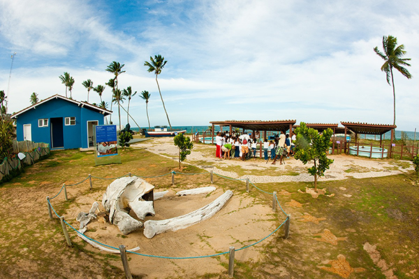 Centro Nacional de Pesquisa e Conservação de Tartarugas Marinhas e da Biodiversidade Marinha do Leste (Tamar), instaldo em Camaçari, na localidade de Arembepe Centro Nacional de Pesquisa e Conservação de Tartarugas Marinhas e da Biodiversidade Marinha do Leste (Tamar), instaldo em Camaçari, na localidade de Arembepe