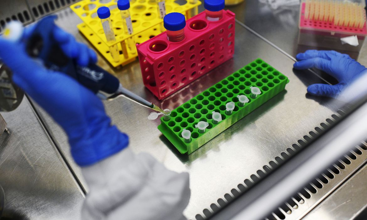 Trabalho foi desenvolvido por pesquisadores do Paraná Trabalho foi desenvolvido por pesquisadores do Paraná