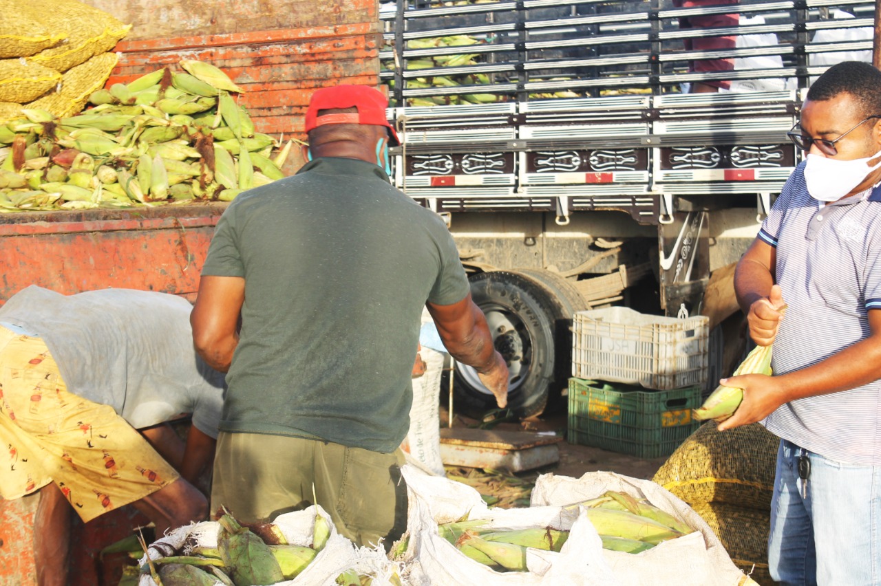 Feirantes esperam arrecadar R$ 1,4 milhão na venda de amendoim e R$ 1,8 milhão comercializando milho verde