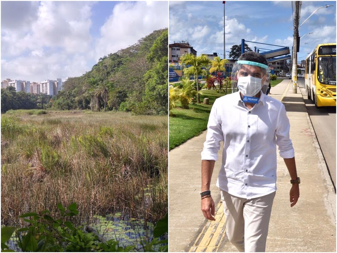 O processo para criação do primeiro refúgio de vida silvestre de Salvador foi uma iniciativa voluntária do coletivo de ambientalistas SOS Vale Encantado