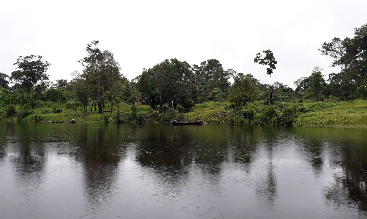 Grupo é suspeito de usar certificados digitais de servidores do Instituto, obtidos de maneira fraudulenta, para extinguir interdições a propriedades localizadas em áreas embargadas no Pará e Mato Grosso