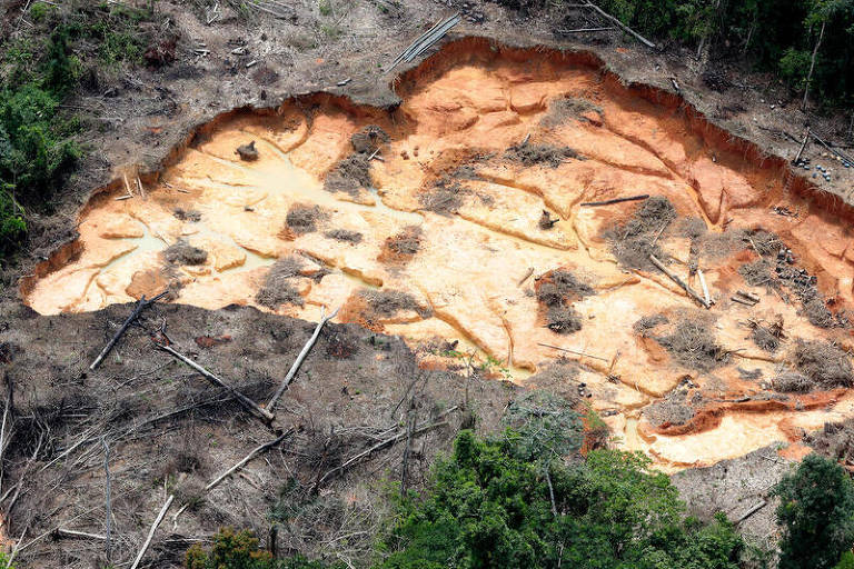 Imagem de Empresários defendem agenda ambiental com governadores da Amazônia Legal