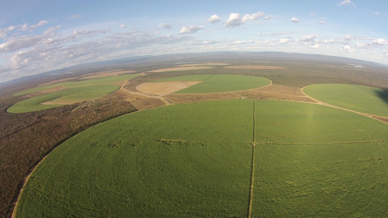 Primeiro projeto sucroalcooleiro em implantação, do Grupo Paranhos, em Muquém do São Francisco
