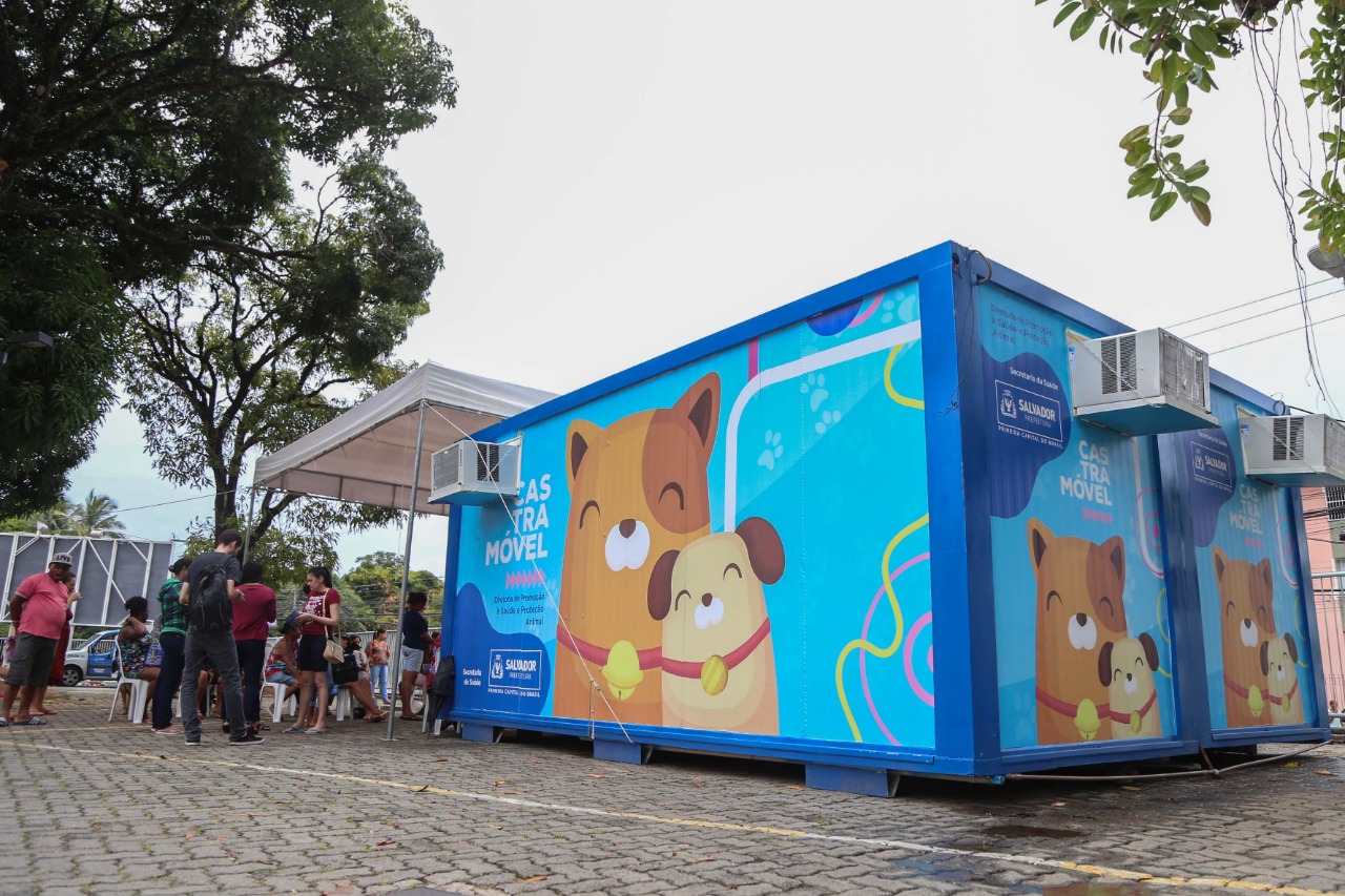 Imagem de Castramóvel retorna os atendimentos com 50% da capacidade