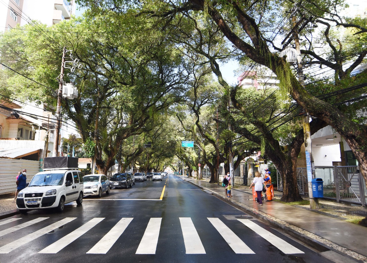 Imagem de Obra de requalificação melhora mobilidade no Corredor da Vitória