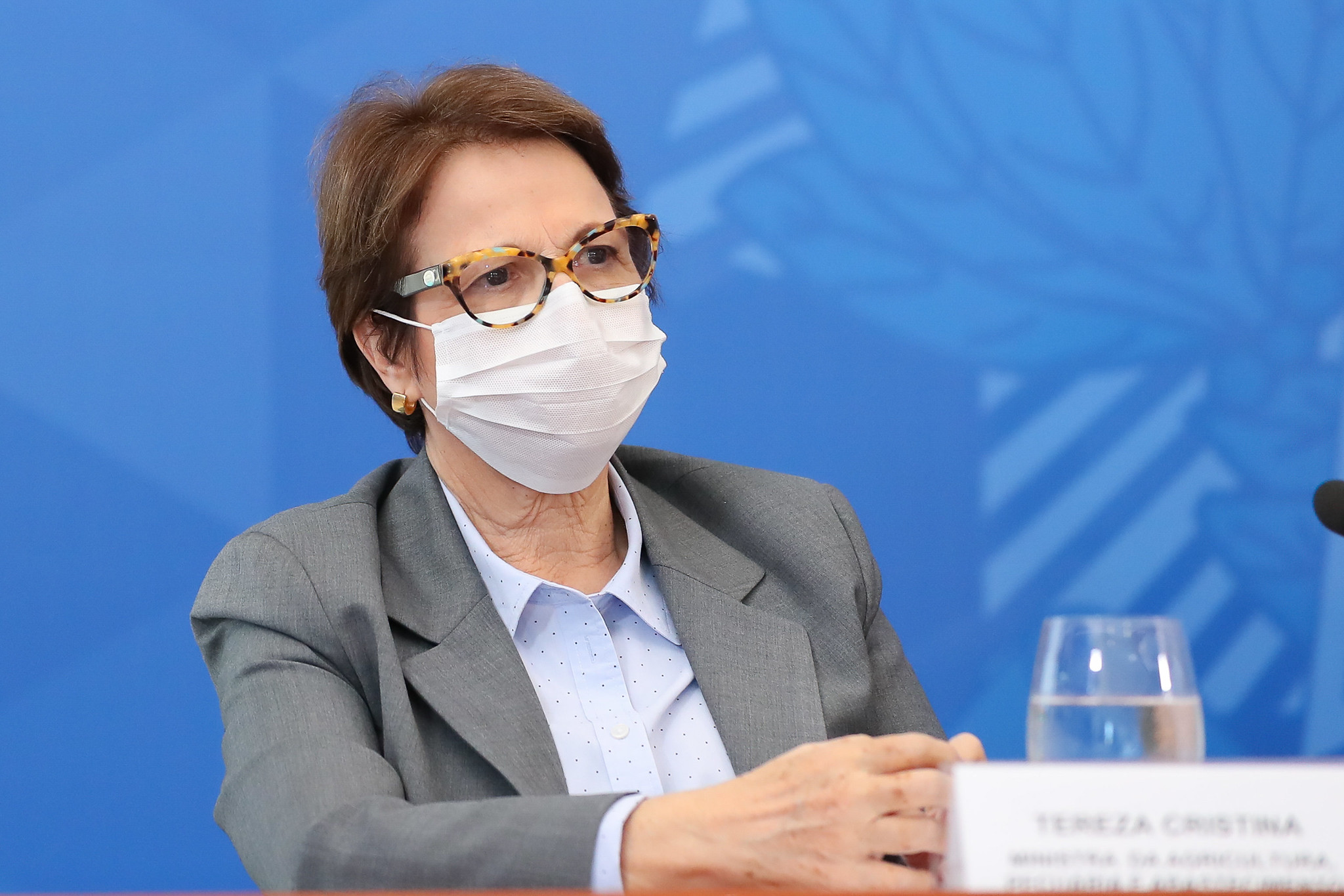 Imagem de Governo define critérios para cota de importação de arroz