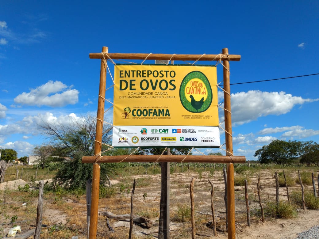 Imagem de Regulamentação de pequenas agroindústrias pela ADAB gera expectativa de negócios às famílias rurais
