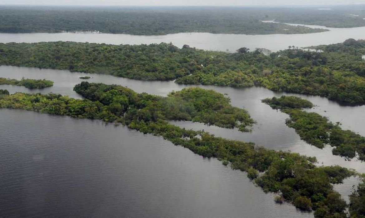 PF disse a embaixadores que não há relação entre pecuária e desmatamento na Amazônia