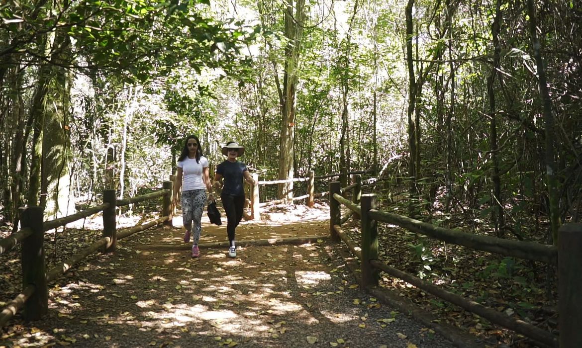 A RedeTrilhas conecta pontos do patrimônio cultural e natural