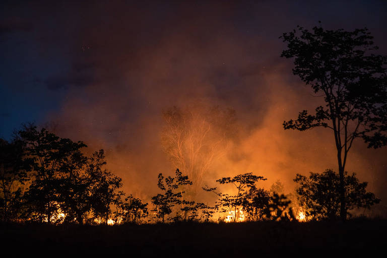 Peça destaca pessoas que vivem na região e diz que 'o mundo desenvolvido desmatou quase tudo'
