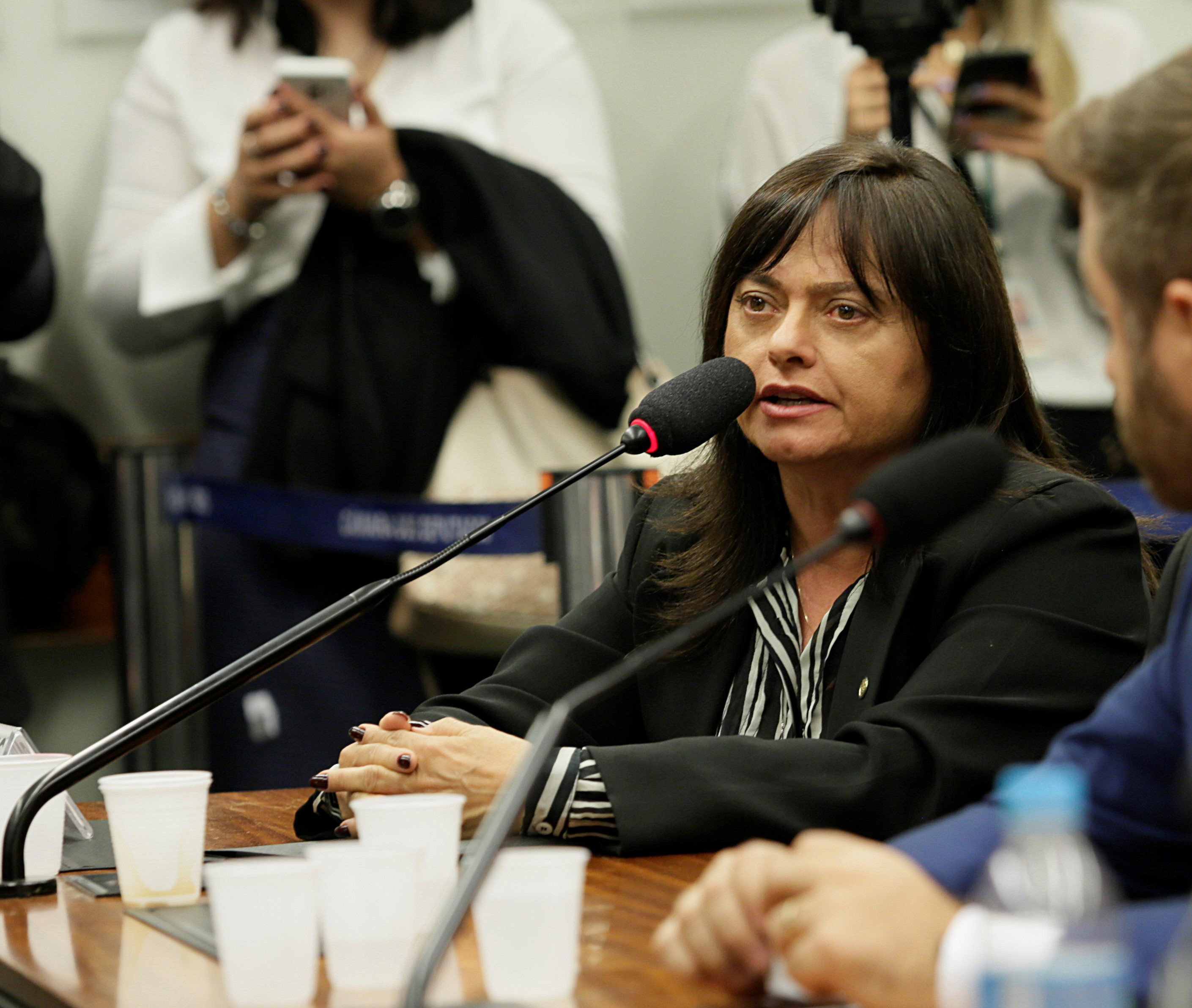 Deputada Alice Portugal (PCdoB) Deputada Alice Portugal (PCdoB)