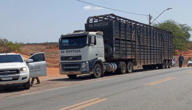 Os agentes cruzavam os dados de geração das guias com a circulação clandestina dos bovinos e seguiam para averiguação em uma fazenda no distrito de Sussuarana, quando encontraram os caminhões e efetuaram o flagrante