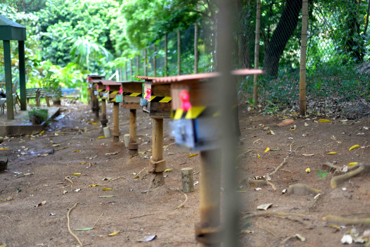 Os equipamentos têm como objetivo potencializar as hortas urbanas com a polinização e a perpetuação de espécies de abelhas
