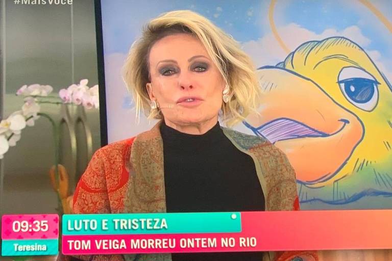 Ana Maria Braga