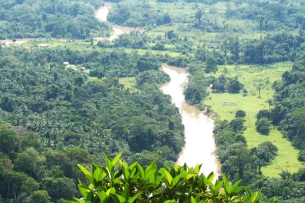 Trecho do parque da Serra do Divisor 