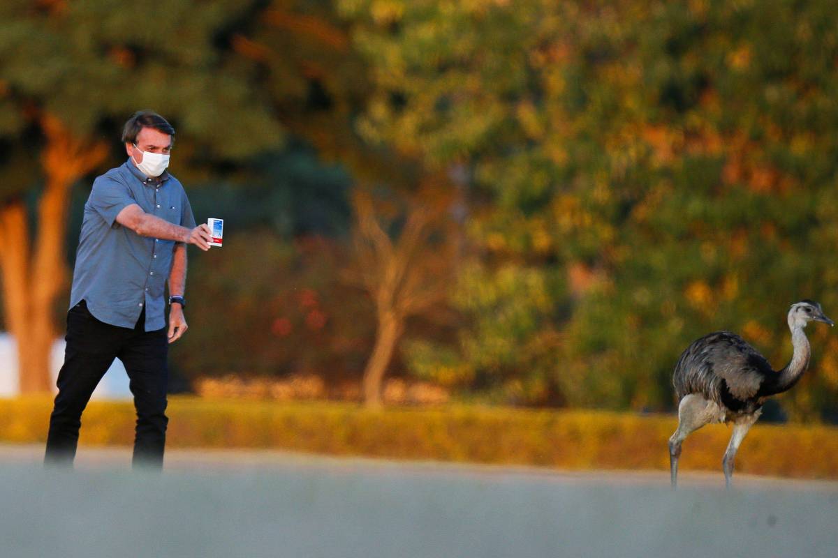 Arritmias e hepatites são alguns dos efeitos associados a kit de drogas sem eficácia contra o coronavírus Arritmias e hepatites são alguns dos efeitos associados a kit de drogas sem eficácia contra o coronavírus