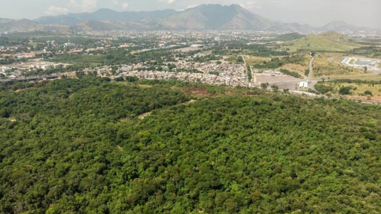 A área possui cerca de 200 mil árvores de 146 espécies