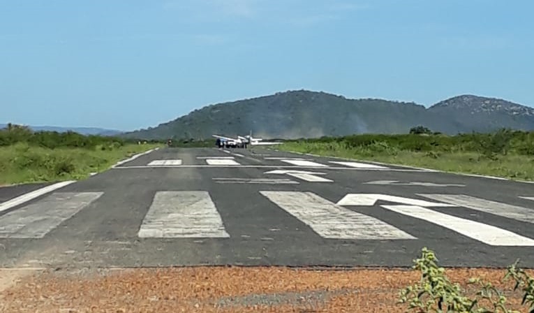 Avião colidiu contra animal durante pouso