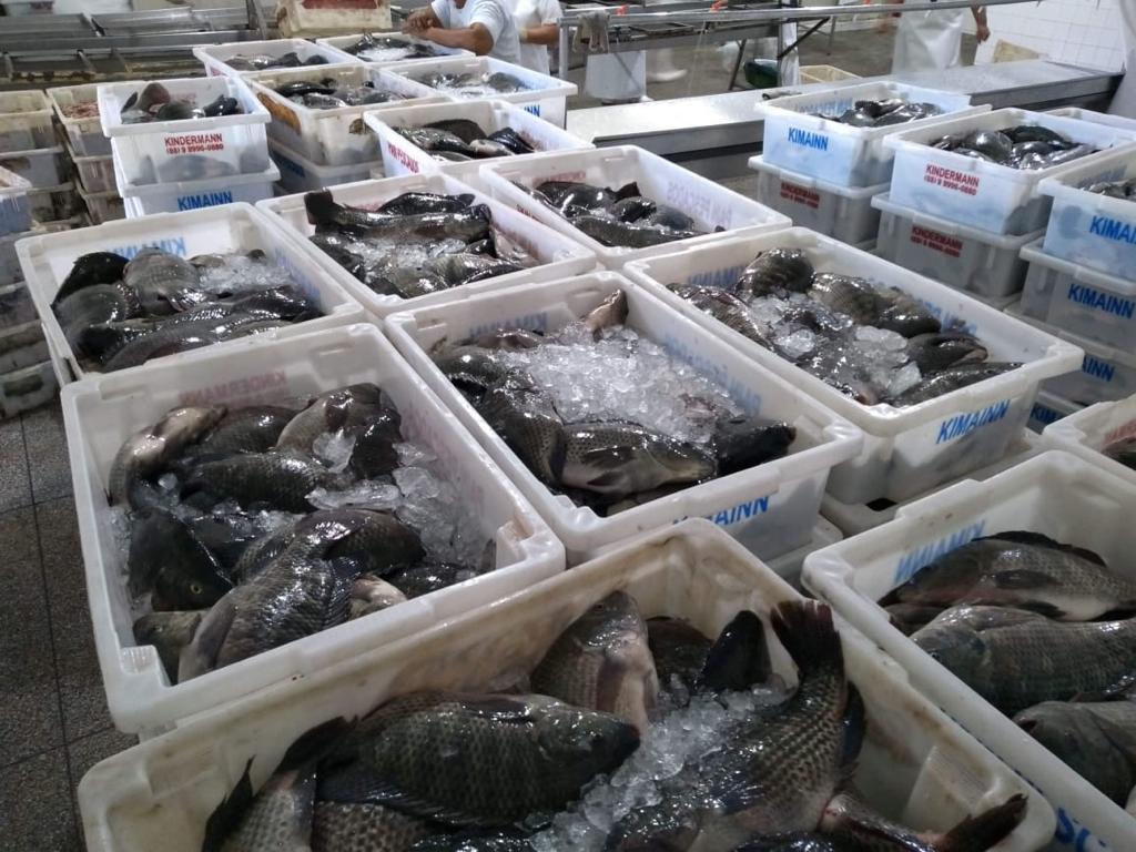 O propósito do Governo do Estado é continuar contribuindo com agricultores e agricultoras familiares O propósito do Governo do Estado é continuar contribuindo com agricultores e agricultoras familiares