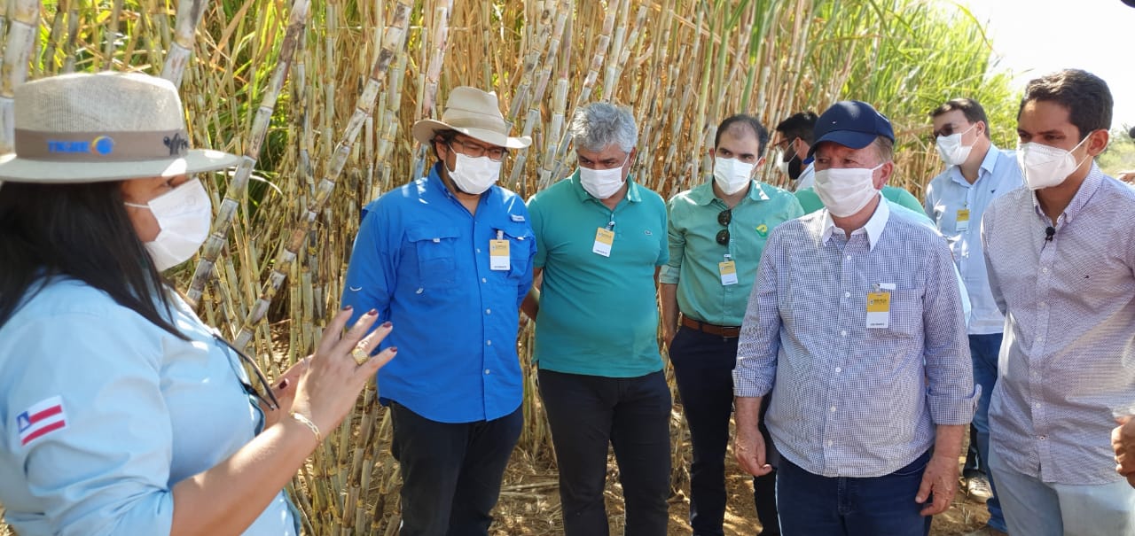 A previsão é de gerar mais de 200 empregos A previsão é de gerar mais de 200 empregos