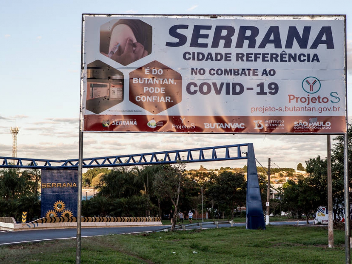 Dados preliminares de pesquisa feita pelo Butantan em Serrana mostram queda expressiva de casos e óbitos, segundo reportagem do Fantástico