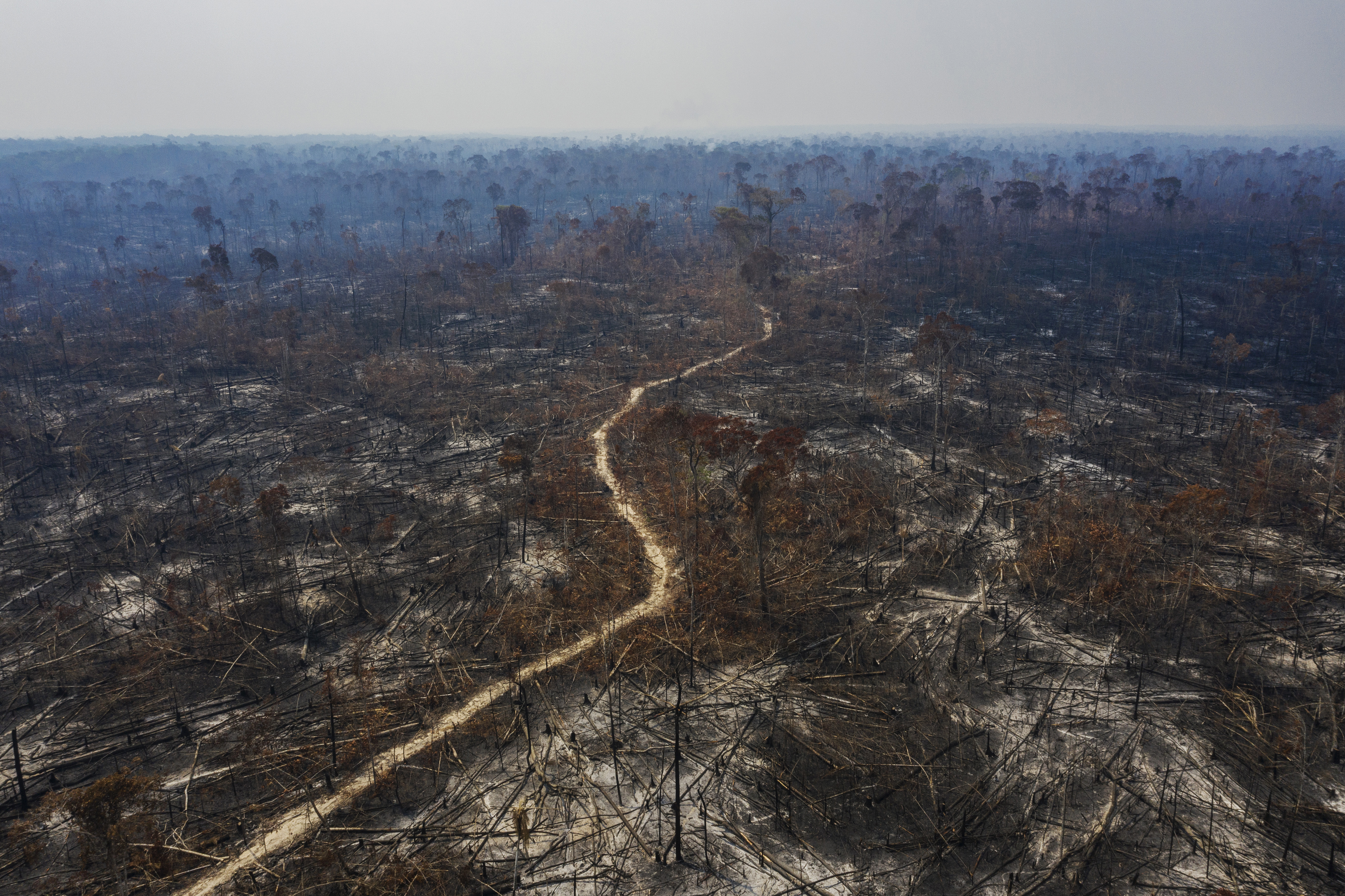 Desmatamento no município de Apuí, no sul do estado do Amazonas Desmatamento no município de Apuí, no sul do estado do Amazonas