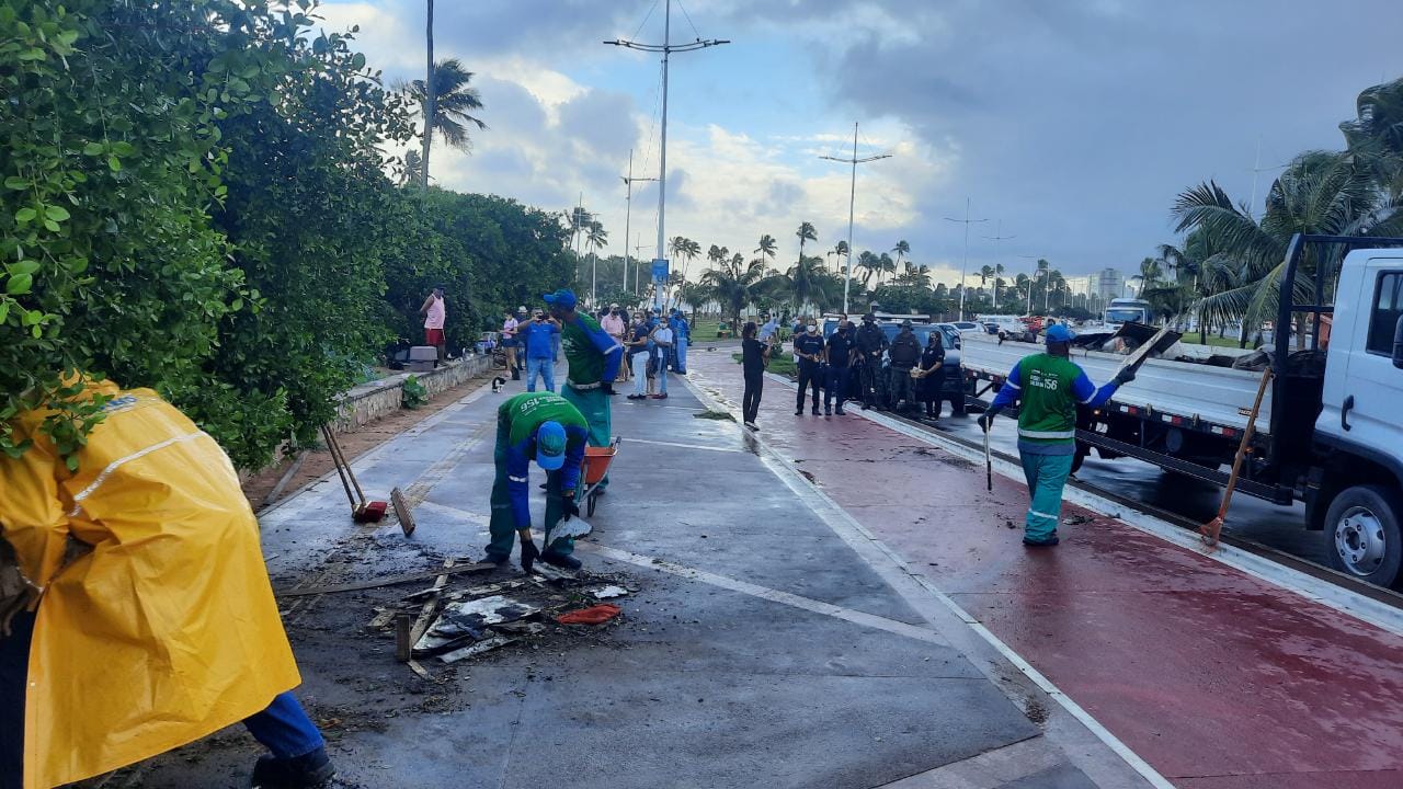 Protetores e simpatizantes da causa animal na cidade se mobilizaram para resgatar os gatos que estavam na localidade
