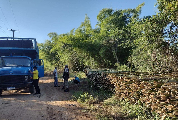 Retirada ilegal de bambu no Terreiro Ilê Axé Icimimó, na cidade de Cachoeira