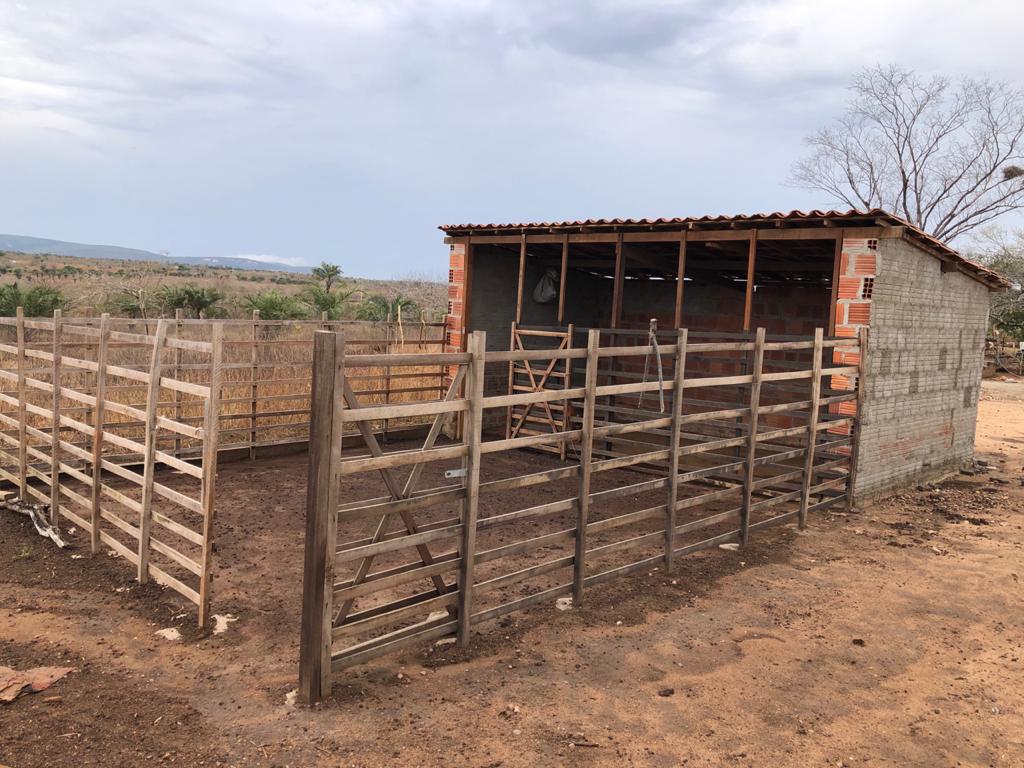 Já foram entregues 510 mil raquetes de palma doce e miúda e construídos 34 apriscos e cisternas de produção