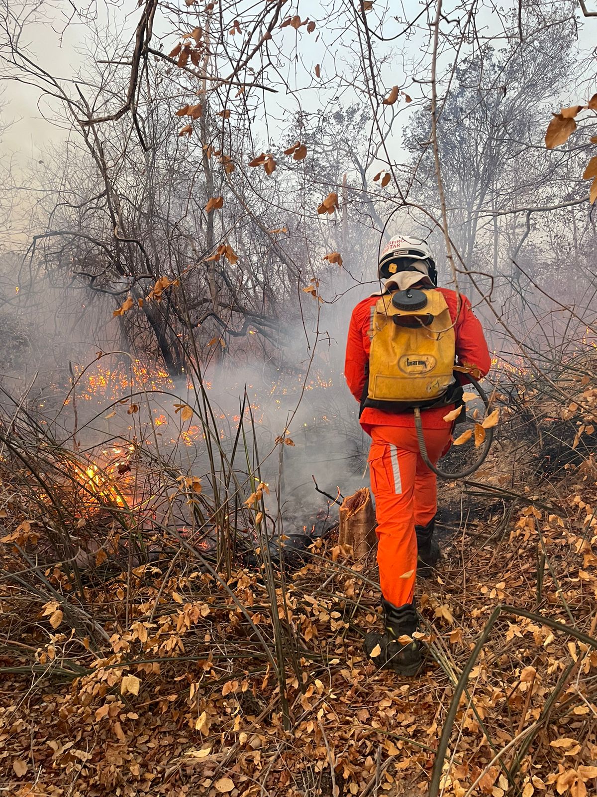 O trabalho agora se concentra no monitoramento com os bombeiros percorrendo toda a área atingida para verificar possíveis novos focos O trabalho agora se concentra no monitoramento com os bombeiros percorrendo toda a área atingida para verificar possíveis novos focos