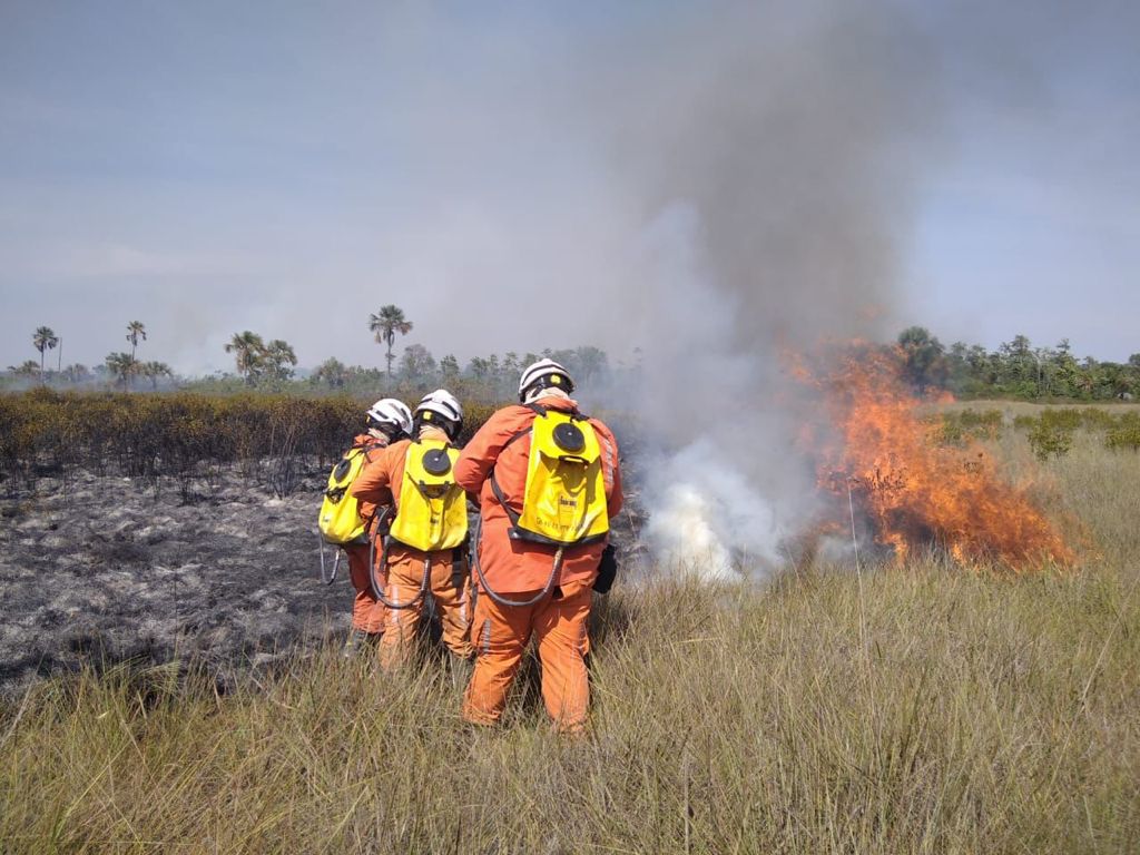 Proposta também tem agravante para pena de morte, risco à vida e organizadores de incêndios Proposta também tem agravante para pena de morte, risco à vida e organizadores de incêndios