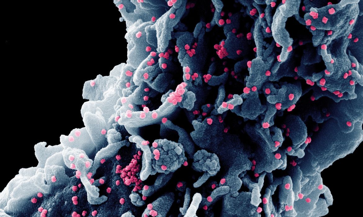 Ele terá a participação de especialista da Fiocruz