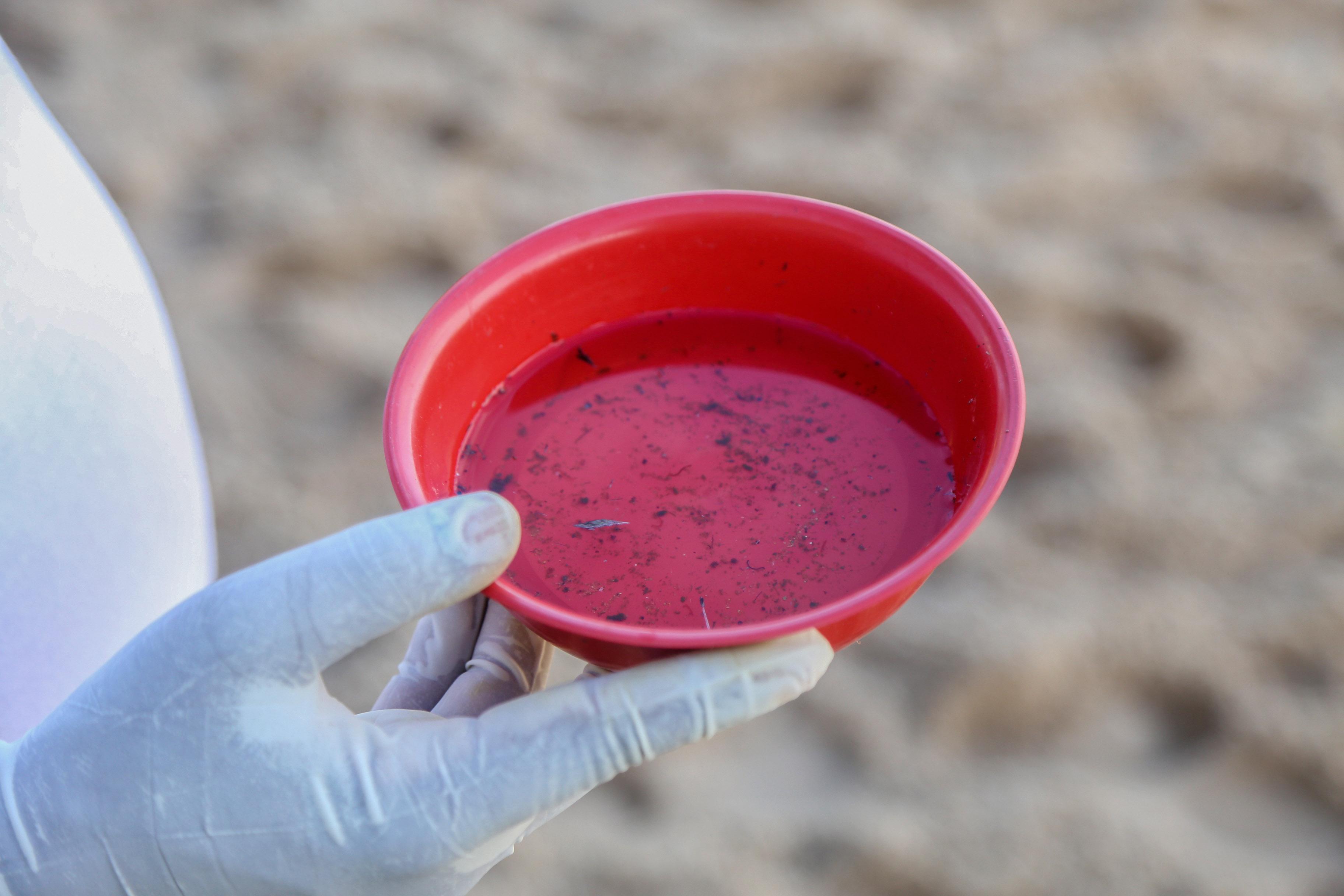 O encontro visa fortalecer a cooperação entre as autoridades locais e a gestão de saúde