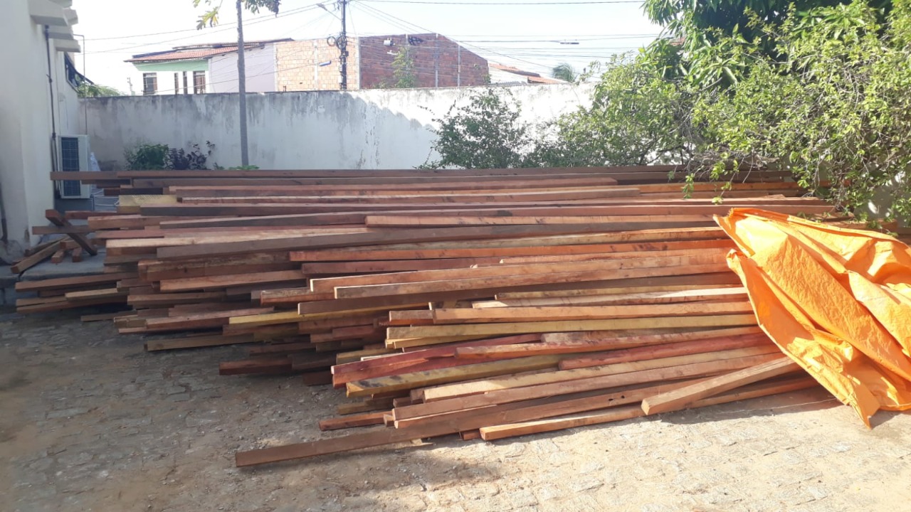 A madeira é nativa da Mata Atlântica