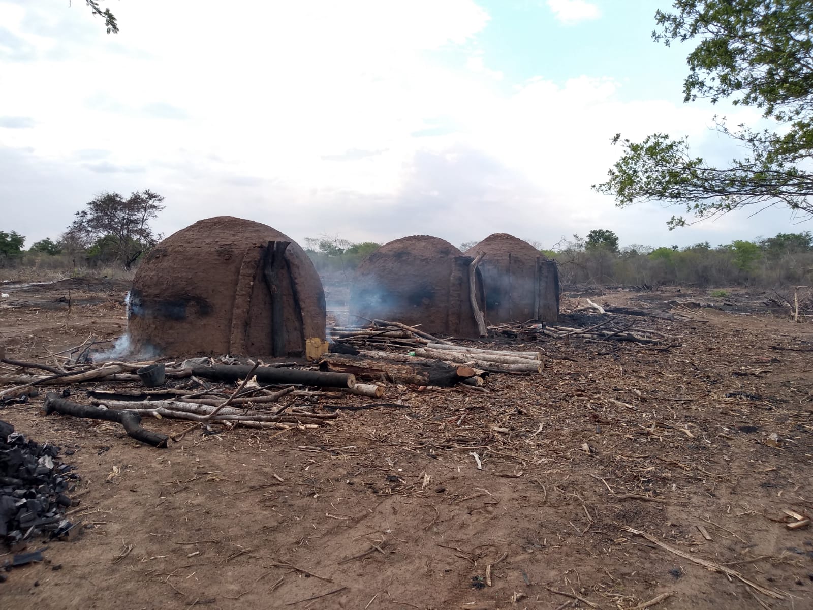 Foi realizada a demolição de mais de 20 fornos que estavam sendo utilizados para a produção ilegal de carvão vegetal