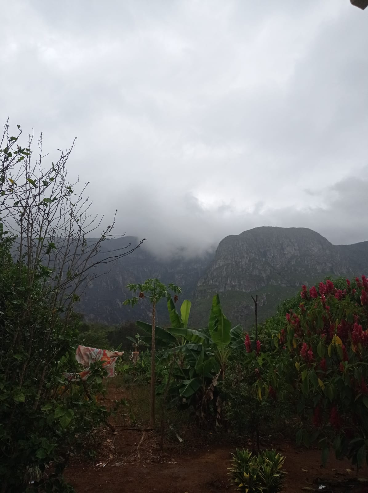 Chuvas diminuíram focos de calor nos últimos dias Chuvas diminuíram focos de calor nos últimos dias