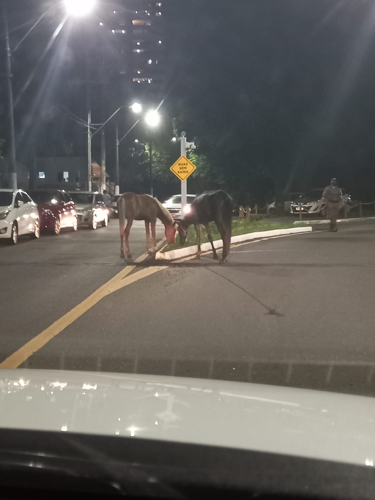 O registro acima foi feito no início da noite desta segunda-feira; moradores pedem providências por parte da Prefeitura de Salvador