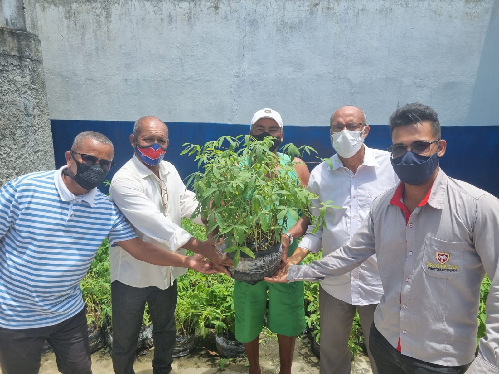 Deputado Bira Corôa entrega manivas de mandioca para agricultores familiares de Acajutiba